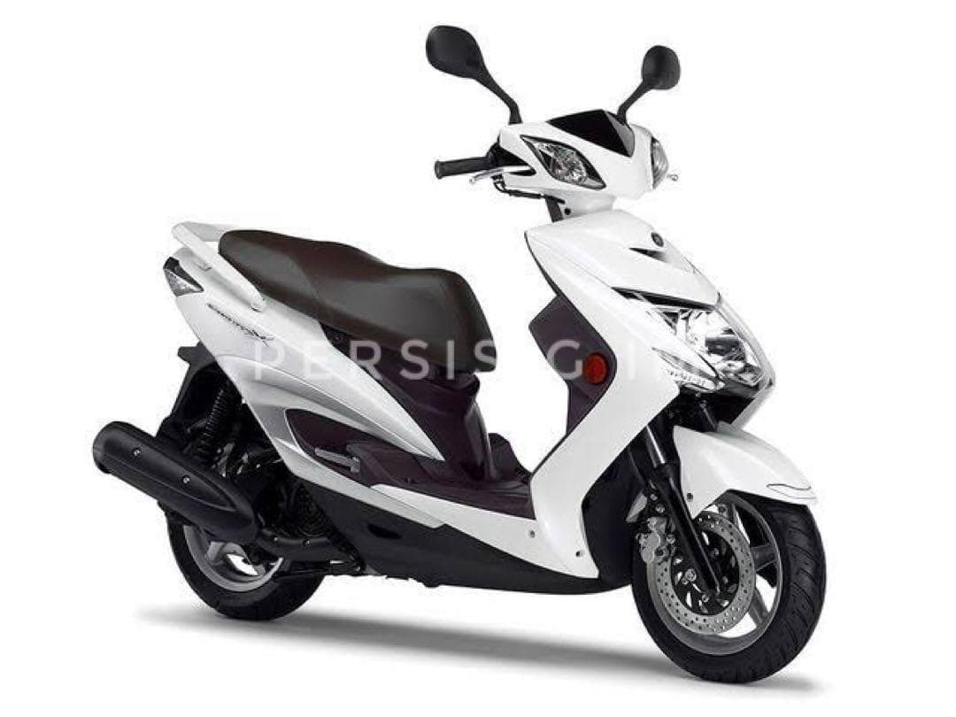 シグナスx全年式245mm純正サイズ黒ブレーキディスク Bw's125 カスタム