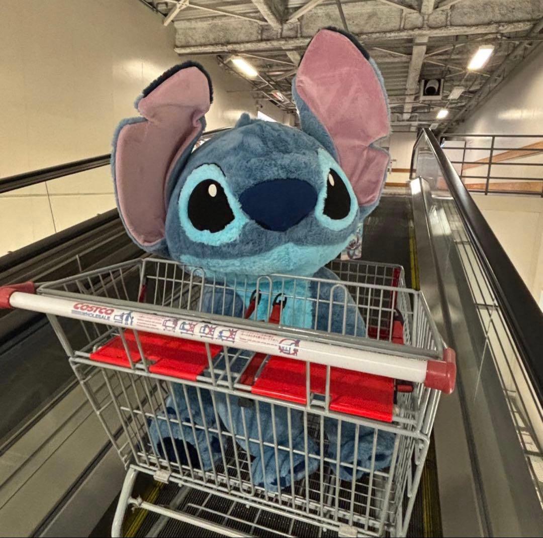 コストコ　スティッチ