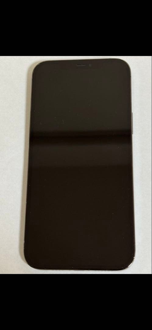 iPhone 12 Pro Max 128GB【動作良好・画面傷なし・背面割れ】