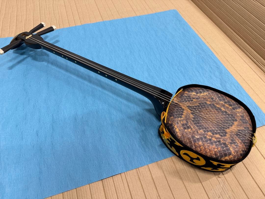 ケース付き 沖縄三線 本体 ヘビ皮デザイン 専用ケース付き