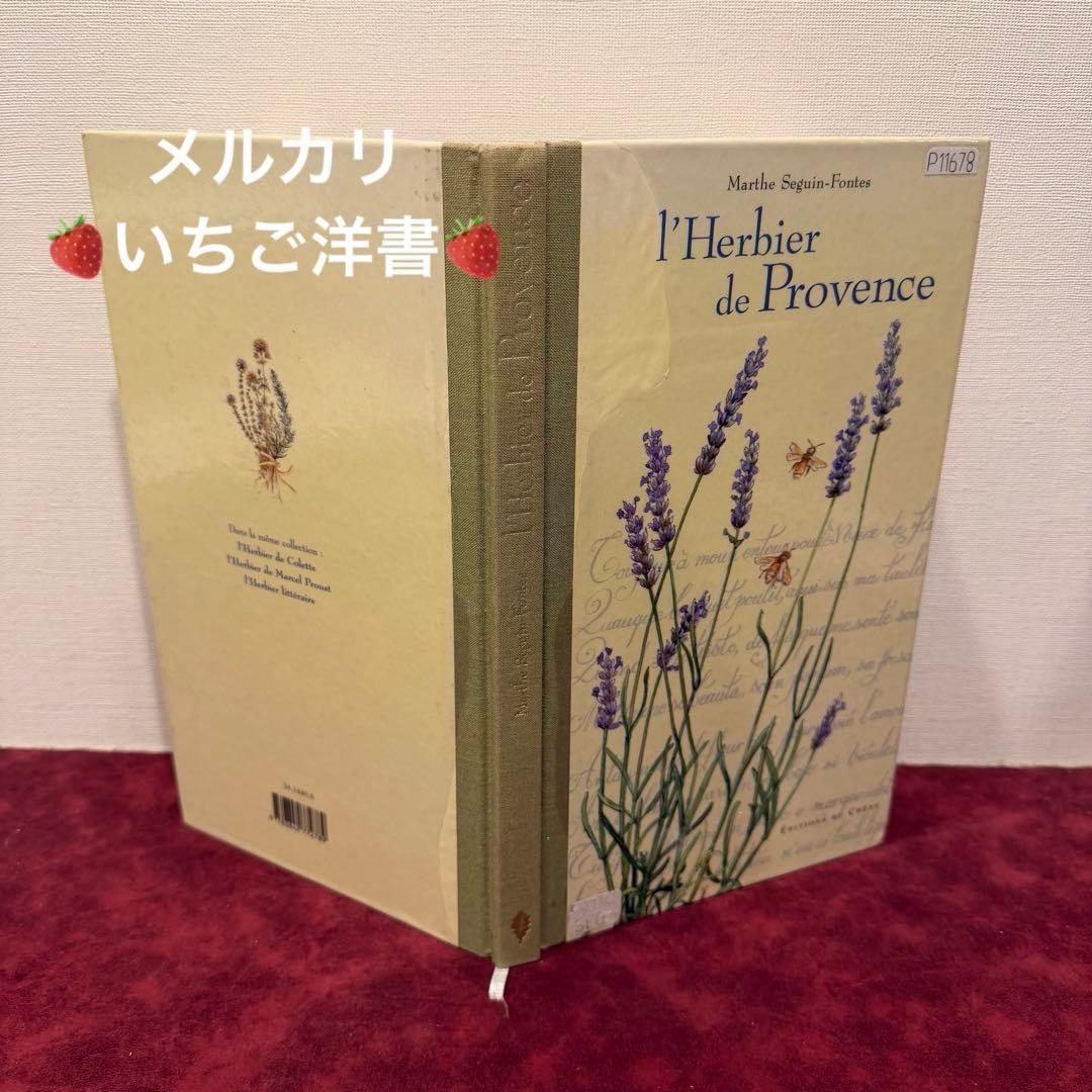 ❤️訳ありセール331①2001年フランスのロマンチック植物水彩画集　洋書古書