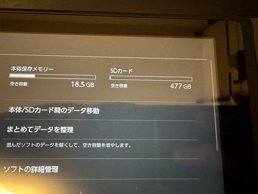Nintendo Switch 本体 （グレー）+ SDカード + プロコン