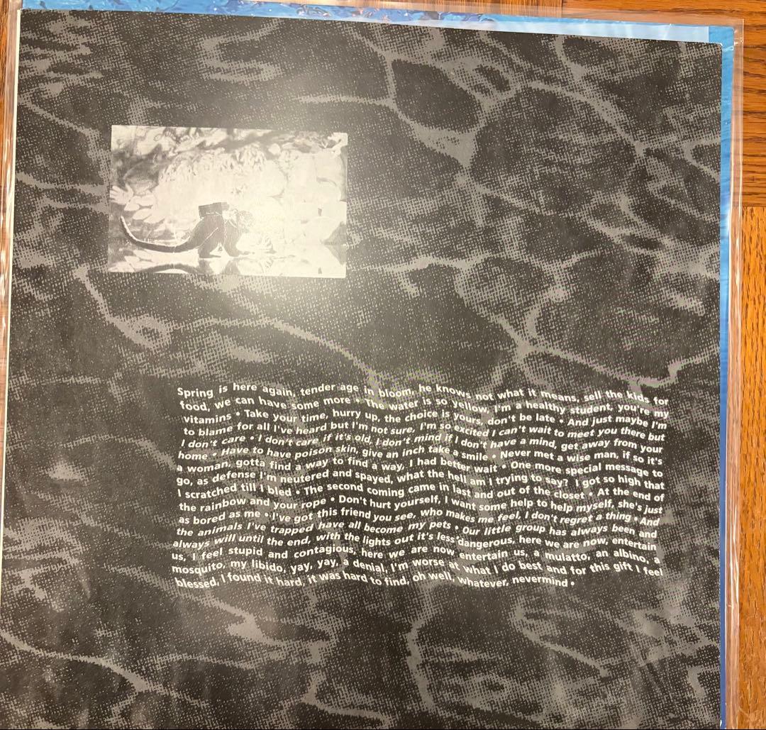 NIRVANA NEVERMIND LP EU 2013年