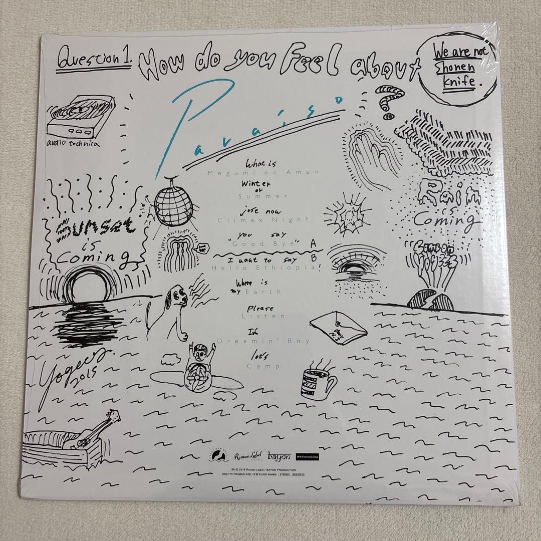 YOGEE NEW WAVES「PARAISO」レコード