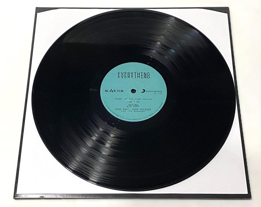 ★Everything Everything★A Fever Dream★LP