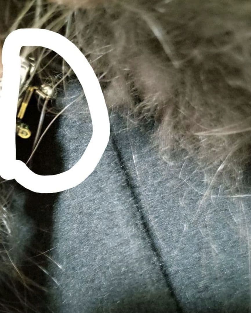 新品未使用　コート　ロング　毛　アンゴラ