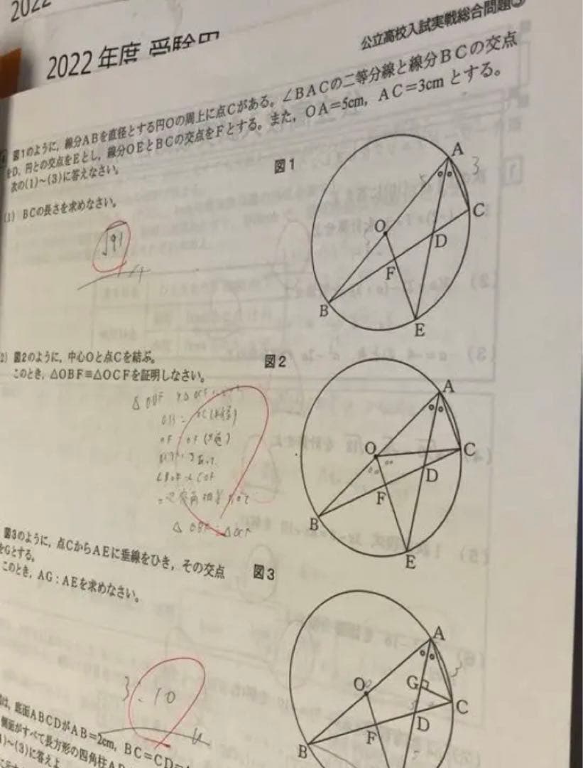 英進館　中3 TZ TS 入試実戦力完成講座　5教科